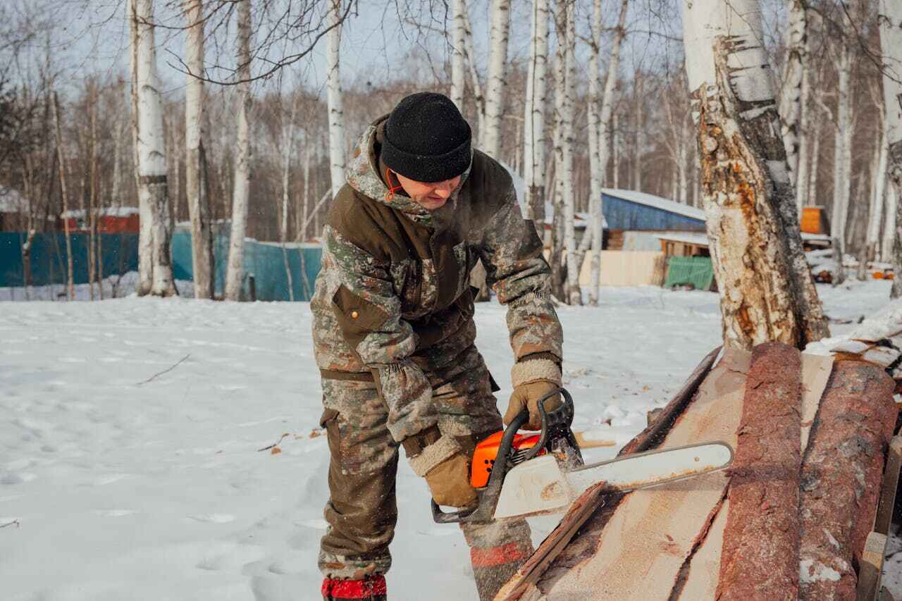 Best Emergency Storm Tree Removal  in Maggie Valley, NC